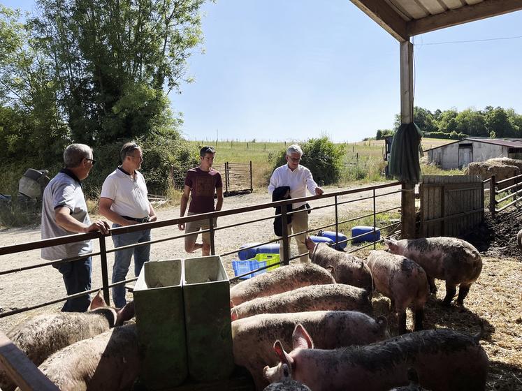 Nonville, vendredi 4 juillet. Guidée par Adrien Plouvier, la visite a débuté par les élevages et notamment les porcs, une production peu développée en Seine-et-Marne. 