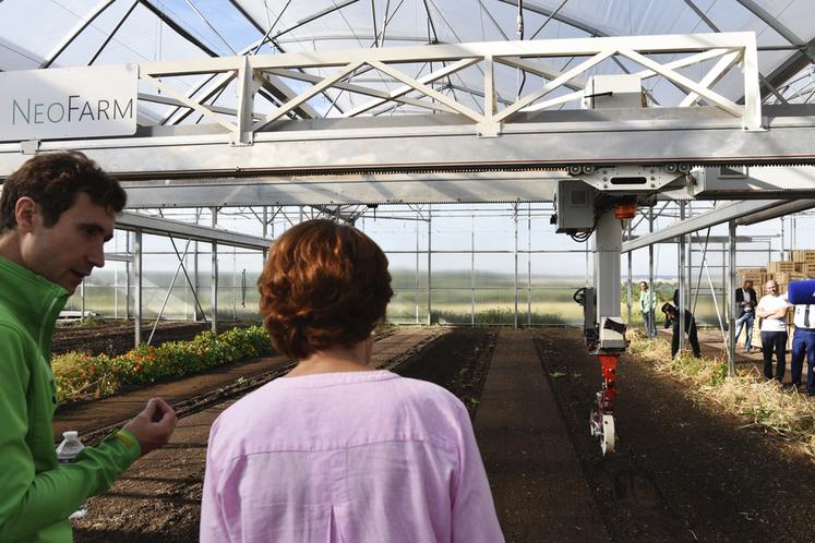 Lundi 30 juin, à Saint-Nom-la-Bretèche (Yvelines). Le robot de NeoFarm sème les graines en rang.