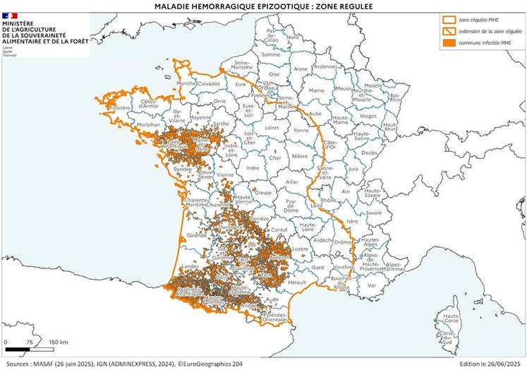 Cartographie de la zone réglementée au titre de la MHE à partir des foyers du Sud-Ouest à la date du 25 juin.