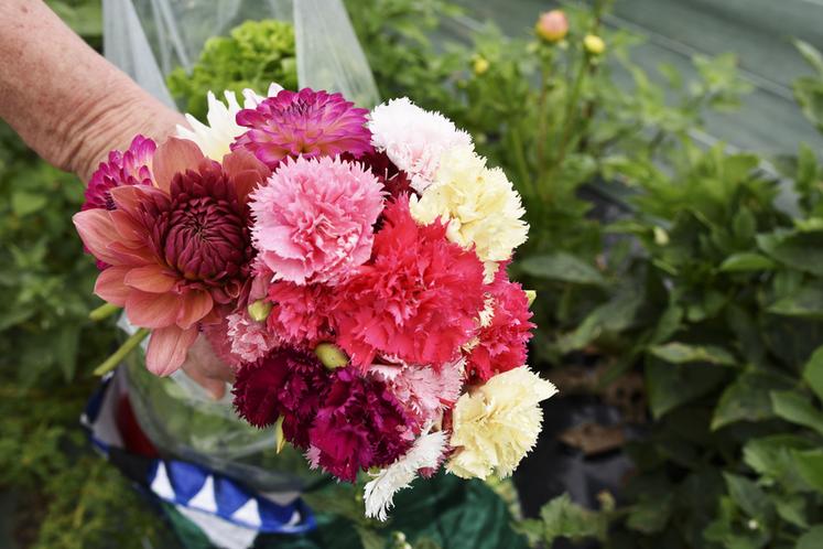 À la Cueillette de Viltain, les visiteurs peuvent personnaliser leur bouquet en cueillant les fleurs.