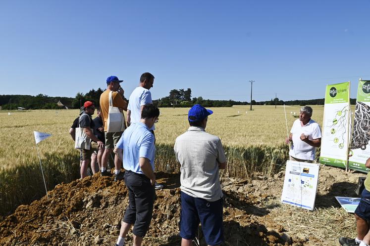 Mardi 17 juin, à Vallières-les-Grandes. Timac Agro a organisé une plateforme d'essais.