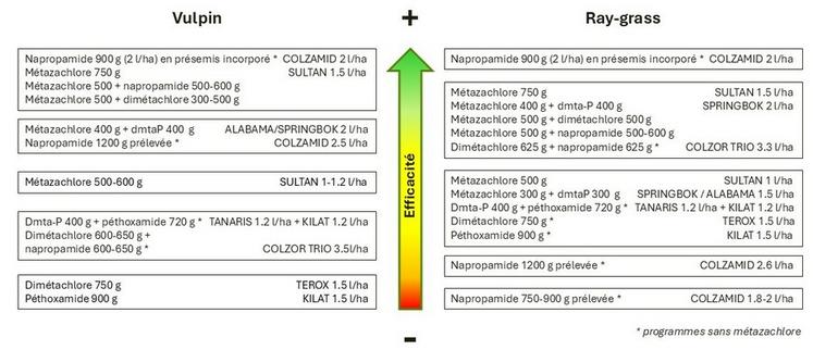 Gradient d’efficacité et de régularité des solutions herbicides contre le ray-grass et le vulpin.