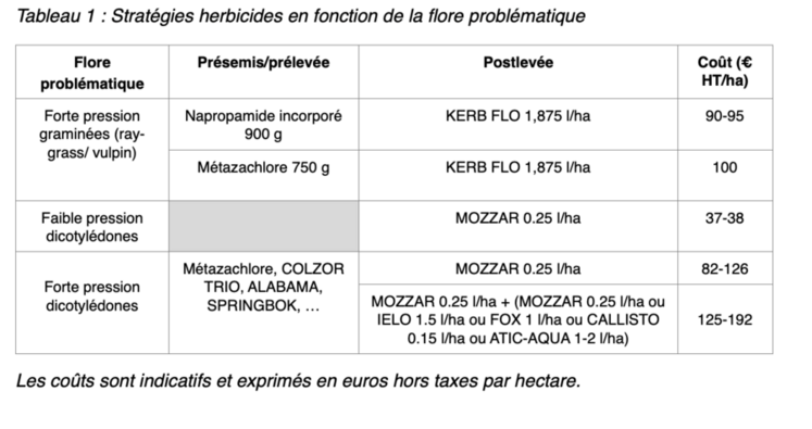 Stratégies herbicides en fonction de la flore problématique.