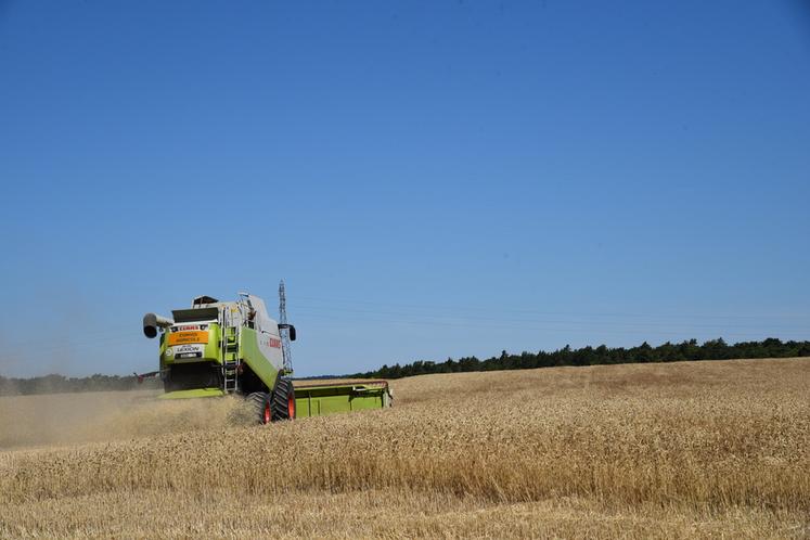 En Île-de-France, la majeure partie des cultures ont vu le passage des moissonneuses-batteuses. L'occasion de faire un premier point des moissons.
