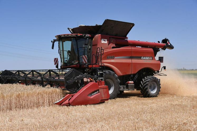 Les rendements 2025 s’annoncent en hausse pour l’orge, le colza et le blé tendre, mais les faibles cours du marché compromettent la rentabilité des exploitations.