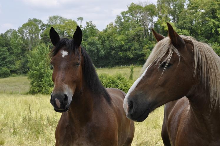 Cinq associations ou organisations franciliennes ont déposé un dossier de financement auprès du fonds Éperon. 
