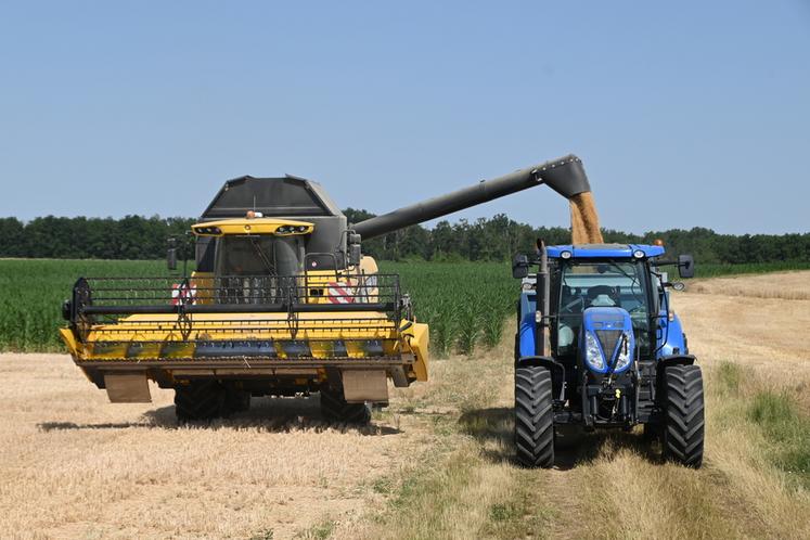 Les marchés des céréales connaissant des fluctuations, il est nécessaire pour les agriculteurs de bien les analyser afin de vendre au mieux leur récolte.