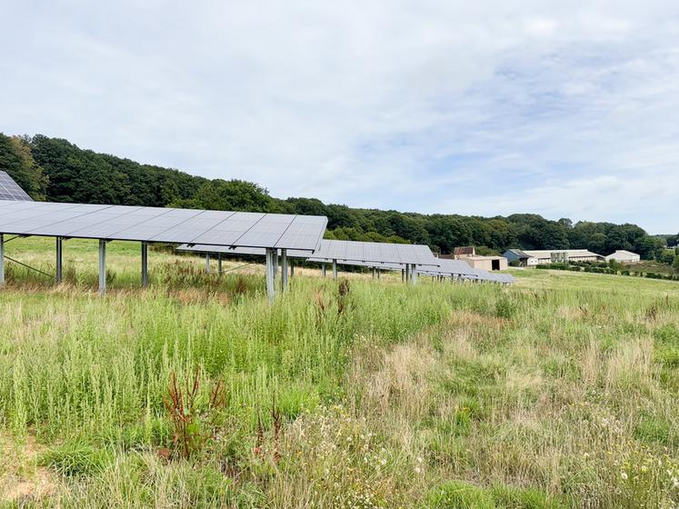 Le 4 août, à Saint-Bomer (Eure-et-Loir). Les 60 ombrières photovoltaïques installées offrent une surface de 2 600 m2, pour produire jusqu'à 500 kWh d'électricité sans gêner les poules sur leur parcours.