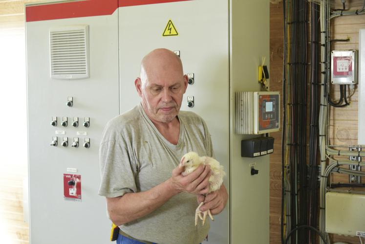 David, 55 ans, en reconversion après une carrière dans le bâtiment, découvre le métier d’ouvrier avicole lors d’une immersion à Noyers.