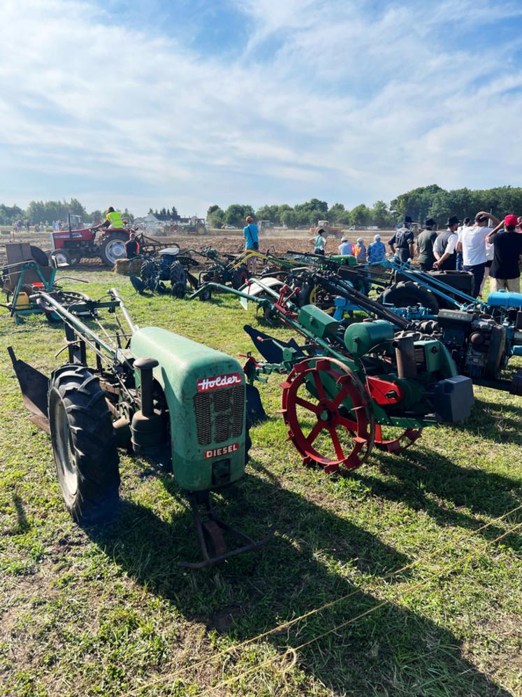 Sous les yeux admiratifs des plus anciens, replongés dans leurs souvenirs, les jeunes découvrent, curieux, un autre temps de l’agriculture.