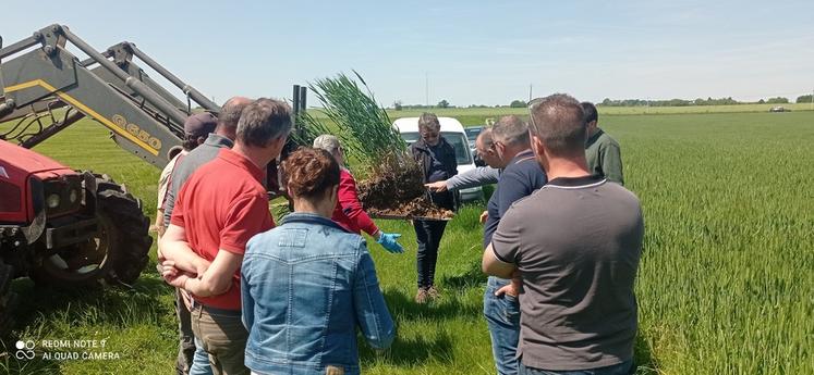 Dans l’Indre, un groupe de 10 céréaliers ont mixé sur une meilleure connaissance des propriété de leur sol pour en améliorer la fertilité.