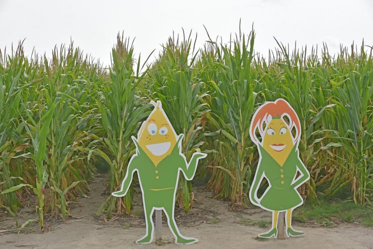 Le Pop corn labyrinthe est une franchise présente dans de nombreuses villes en France. Cette saison marque sa première implantation à Vennecy.