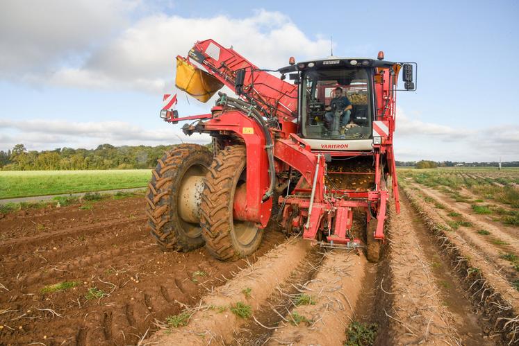 C'est avec quelques semaines d'avance qu'a débuté l'arrachage des pommes de terre cette année.