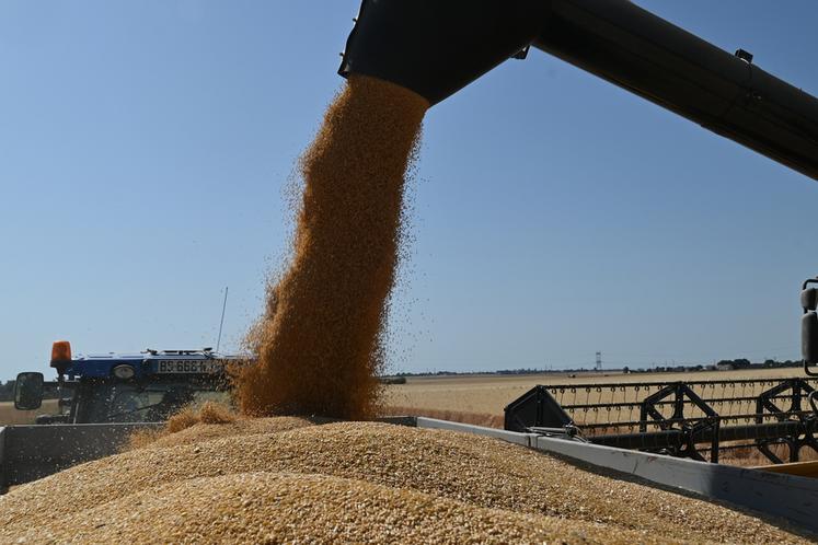 La chambre d'Agriculture de Loir-et-Cher a communiqué sur les rendements des moissons de cet été dans le département. 