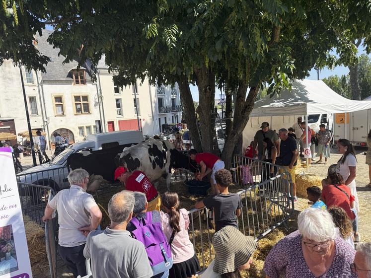 La mini-ferme a rencontré un franc succès, attirant aussi bien les enfants émerveillés que les adultes curieux. Veaux, moutons, chèvres et volailles ont offert un aperçu vivant de la diversité des élevages de notre territoire.