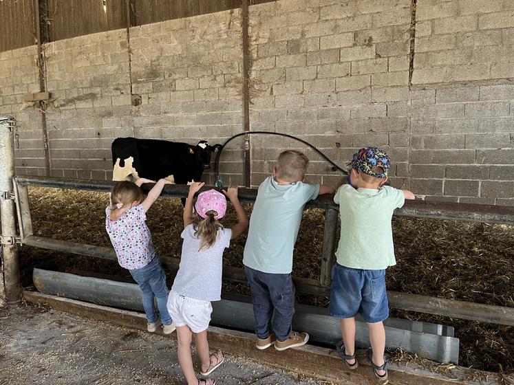 Les enfants profitent de la fin des vacances pour observer les animaux. 