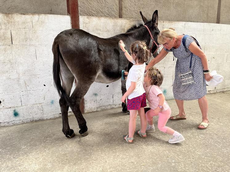 Les enfants peuvent apprendre à prendre soin des ânes à la Bergerie nationale.