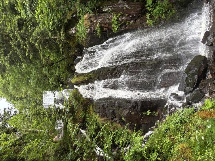 cascade de Tendon