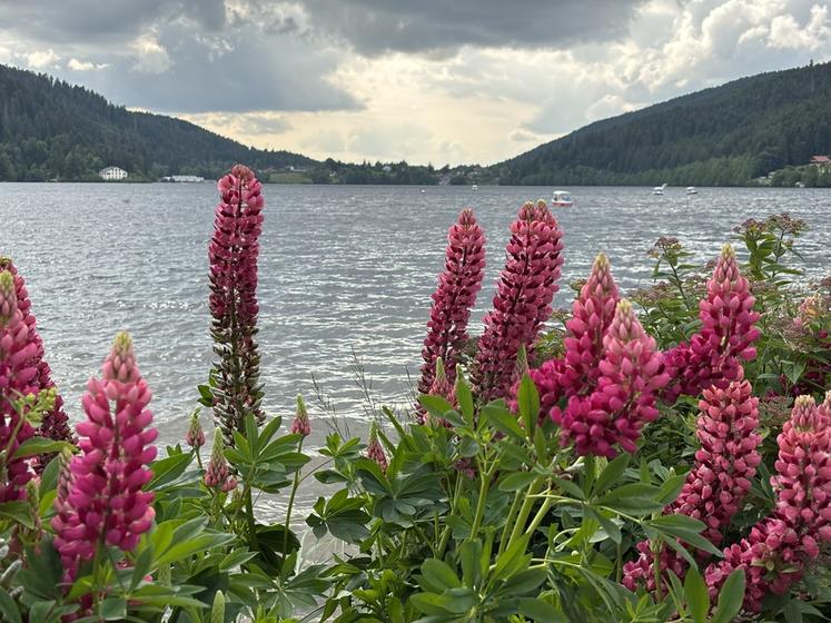 Lac de Gerardmer.