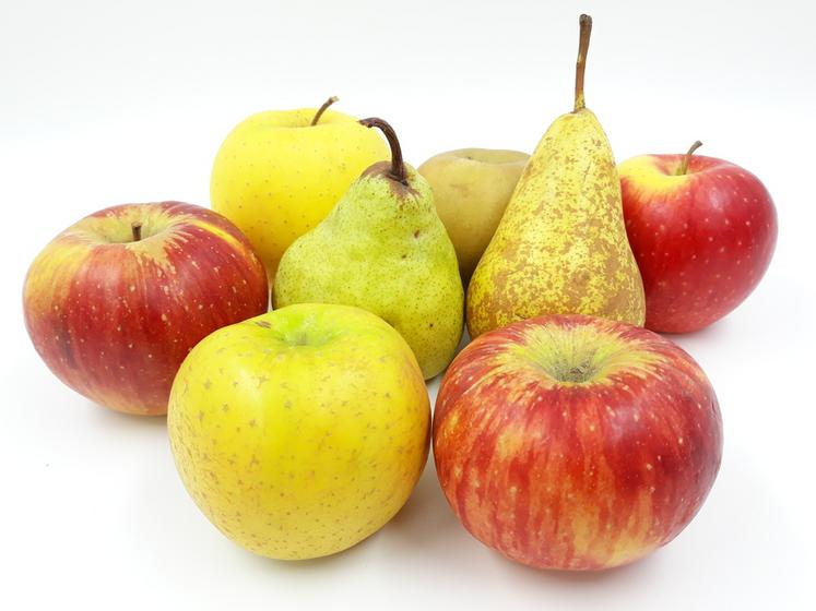 La récolte des pommes et des poires nécéssite parfois de déroger à la durée maximale de travail.