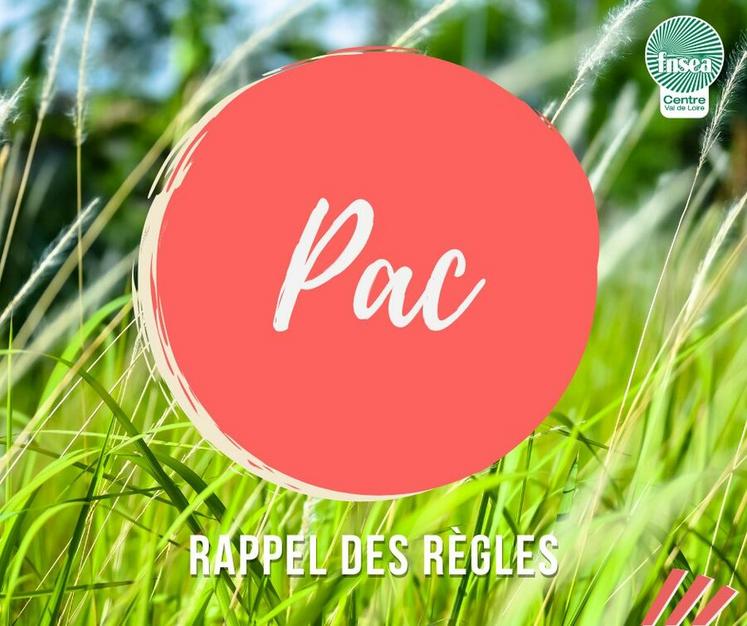 Restez vigilants sur les feux dans Telepac.