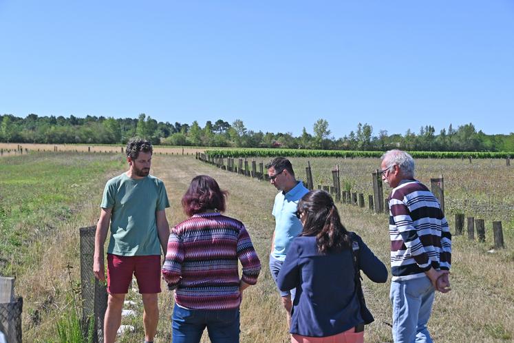 Stéphane Sachet, conseiller agroforesterie, a présenté les intérêts de la replantation des haies.