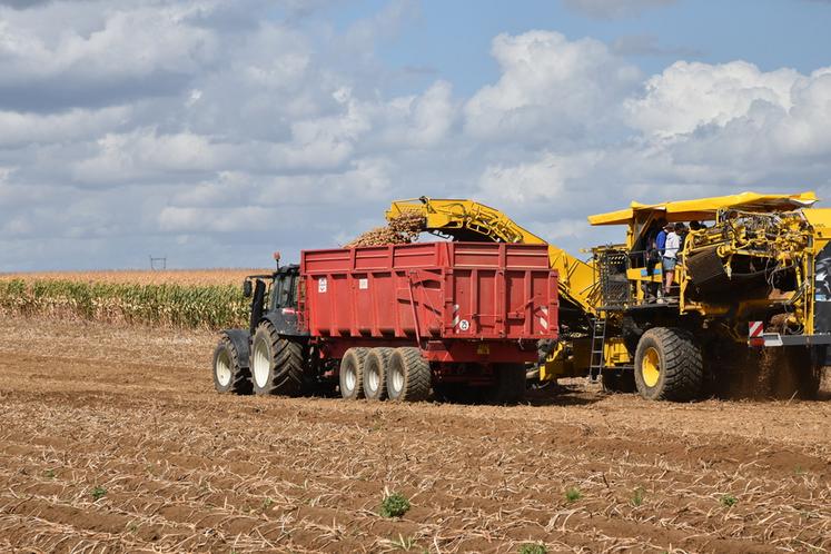 La famille Frichot cultive 140 hectares de pommes de terre dans les Yvelines.