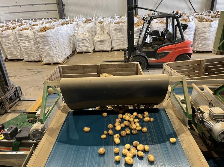 Le Groupe Coisnon gère près de 55 000 tonnes de pommes de terre en tant que négociant et les distribue sur les marchés de gros et la grande distribution au niveau national, mais aussi à l’export dans toute l’Europe. 