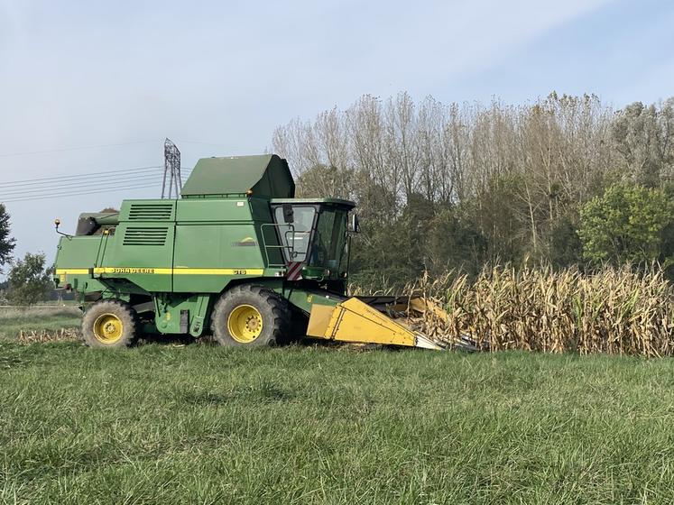 Pour certains agriculteurs de Loir-et-Cher, les moissons d'automne ont démarré avec le millet, et pour la plupart, elles ne devraient pas tarder.