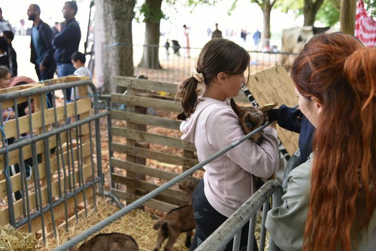 À Sully, la relève est déjà là : une jeune éleveuse présente fièrement ses chevreaux aux visiteurs, entre curiosité du public et passion transmise.