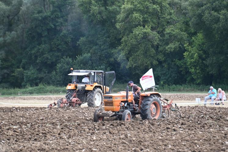 Lors de la finale du concours de labour régional, les jeunes agriculteurs ont fait chauffer les charrues et ont tracé leur sillon durant l'après-midi devant des spectateurs souvent impressionnés par tant de maîtrise. 