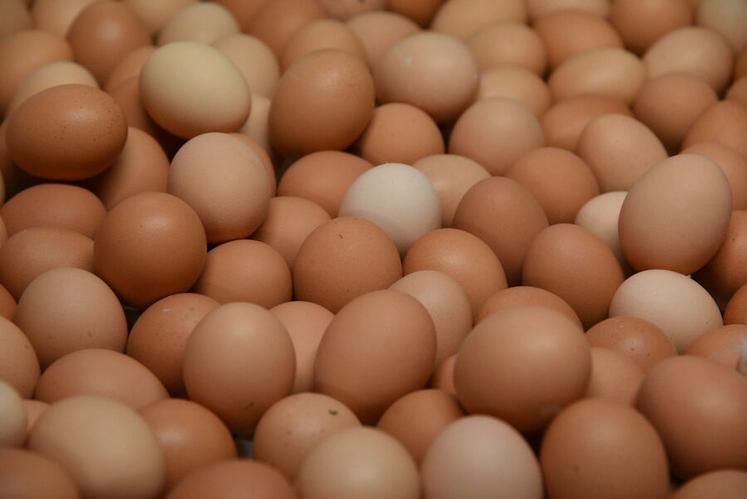 Un Français consomme en moyenne 231 œufs par an. La France se situe dans le haut du panier des pays consommateurs d’œufs en Europe.