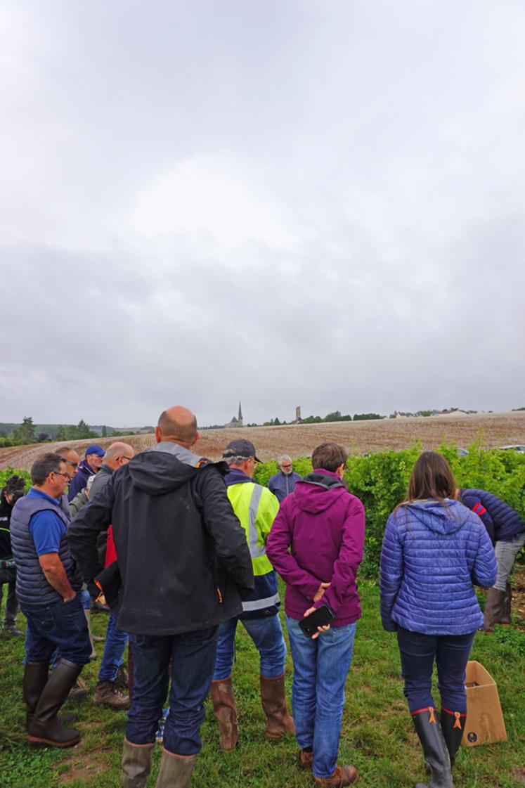 Jeudi 4 septembre, tour de vignes en Île-de-France.