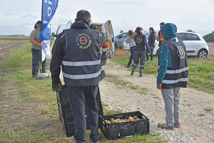Sur l’exploitation du Jardin de Bréau, à Corbeilles-en-Gâtinais, une quarantaine de glaneurs ont participé au 100ᵉ glanage régional de Solaal Centre-Val de Loire.