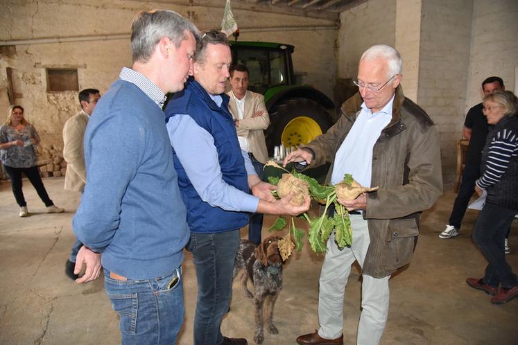 L'hôte du jour, Gauthier Charle, et le secrétaire général de la FDSEA 77, Pascal Verrièle, présentent deux betteraves, dont une atteinte de jaunisse, au préfet.  