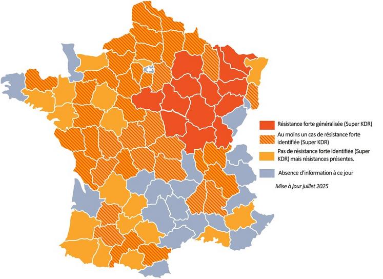 Résistance aux pyréthrinoïdes des grosses altises pour chaque département.