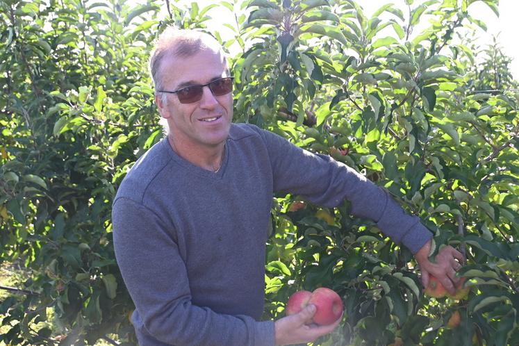 André Cellier, arboriculteur du côté de Mont-près-Chambord, connaît en ce moment une récolte bien plus mauvaise que celle de l'année précédente, en partie à cause des aléas climatiques.