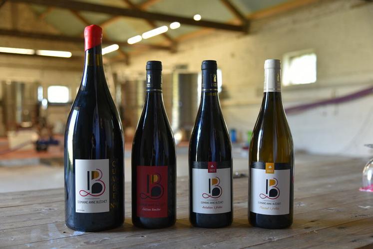 Du floréal au vidoc, la gamme du Domaine Bléchet reflète le pari des cépages résistants en Beauce.