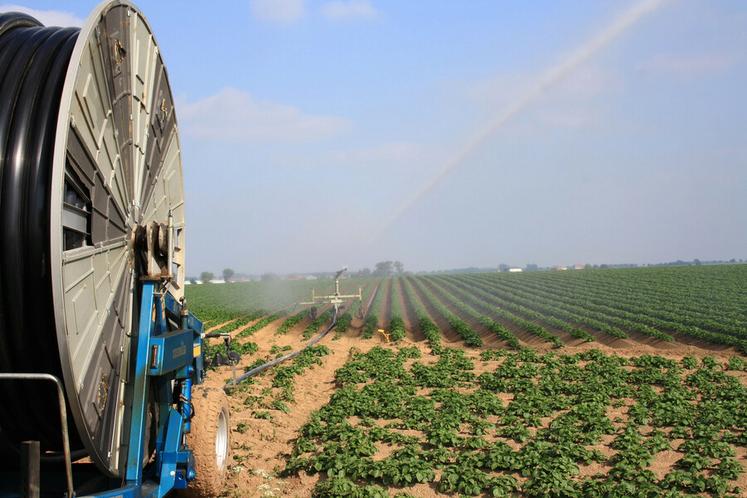 Avec de simples enrouleurs, l’exploitant a baissé ses doses de 15 à 20 % en passant en agriculture régénérative et en choisissant des variétés moins gourmandes en eau.