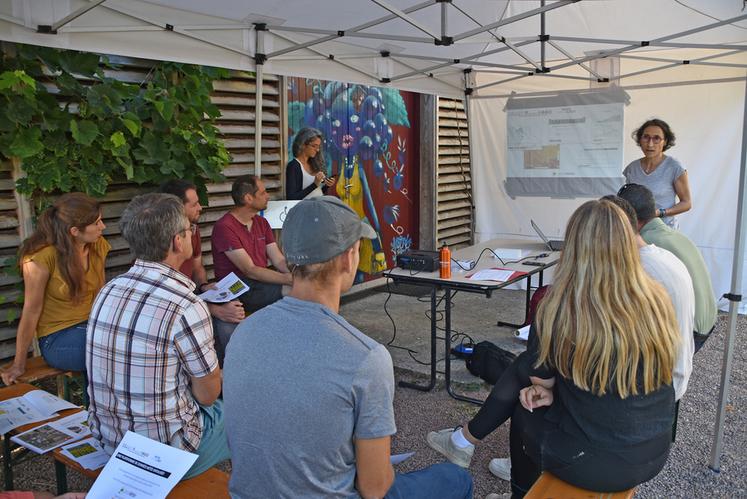 Lors de la journée du PNDV tour organisée à Saint-Nicolas-de-Bourgueil (Indre-et-Loire) en juillet dernier, Charlotte Mandroux et Sophie Bentéjac ont présenté les outils existants pour les vignerons, ainsi qu’un projet à venir.
