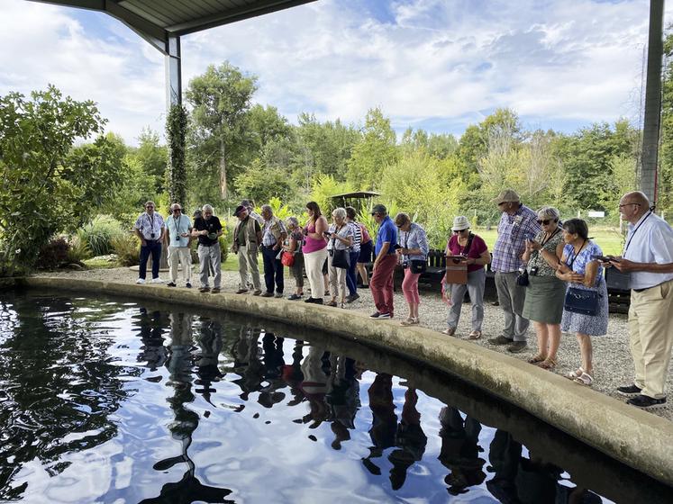 Autre production, l'esturgeon. Les anciens découvrent un bassin d'élevage des esturgeons destinés à la production de caviar.