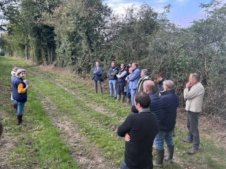 Le projet Carbocage a été lancé sur l’exploitation laitière bio de Kévin Lemaire et Arnaud Testard, à Autry-le-Châtel, en présence de la chambre d’Agriculture et du conseil départemental du Loiret.