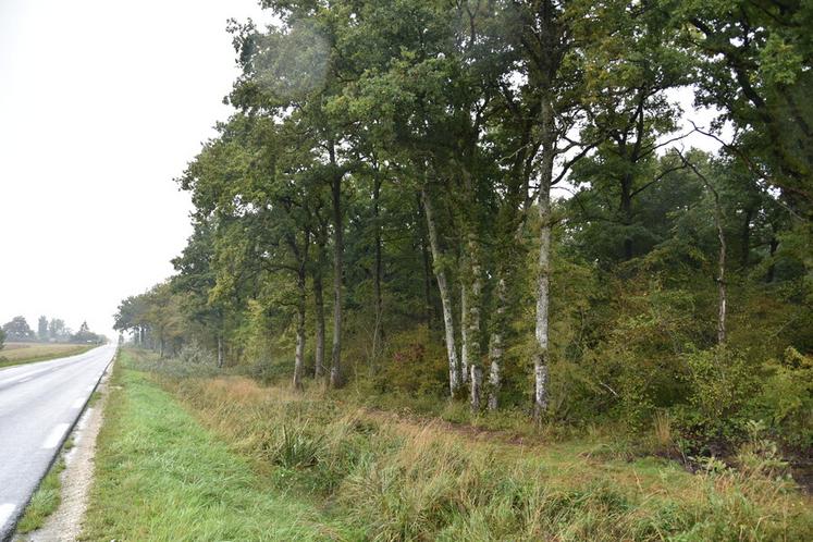 « Être propriétaire forestier sans assurance, c’est comme conduire une voiture sans permis », avait noté le président de Fransylva. Toutefois, l'entretien des linéaires forestiers en bord de route et de zone à risque pour la sécurité reste une obligation, même avec une assurance.