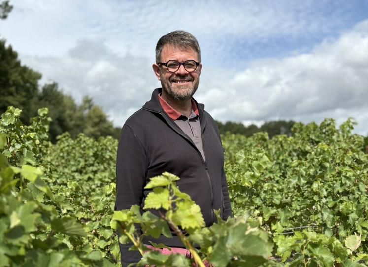 Philippe Faure, le nouveau directeur de l’AOC Touraine, apporte à la fois son expérience auprès des instances syndicales et son expérience de terrain de vigneron.