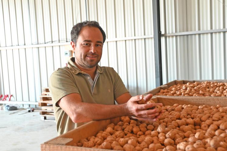 Maxime Cherrier, président de la SAS Noix du Val de Loire et producteur de noix à Josnes, revient sur la saison de récolte 2025 en Loir-et-Cher.