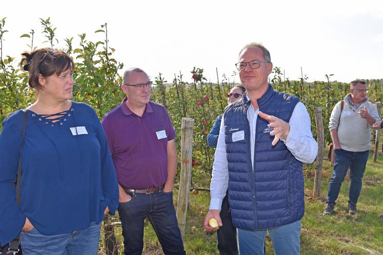 Le Thillay (Val-d'Oise), jeudi 18 septembre. Laurent Chatelain a organisé une visite de ses productions pour les participants du comité de filière horti-pépi.