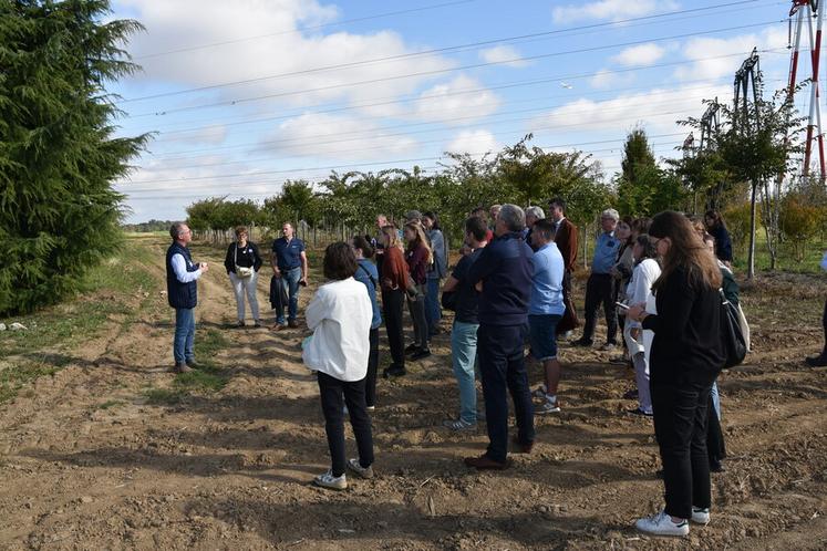 Le Thillay (Val-d'Oise), jeudi 18 septembre. Laurent Chatelain a organisé une visite de ses productions aux participants du comité de filière horti-pépi.