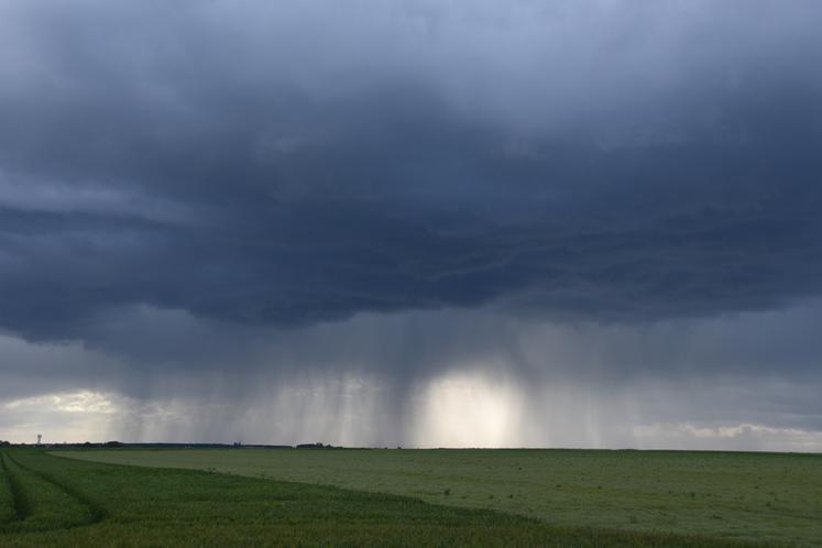 Réformé en 2023, l'assurance multirisques climatiques repose sur la solidarité nationale et le partage du risque entre l’État, les agriculteurs et les assureurs.
