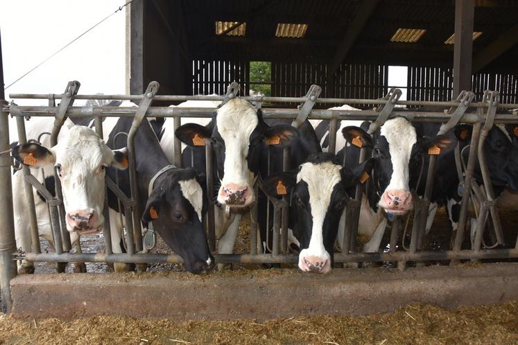 La Journée de dynamique laitière se tiendra mardi 9 décembre à Villemoutiers.