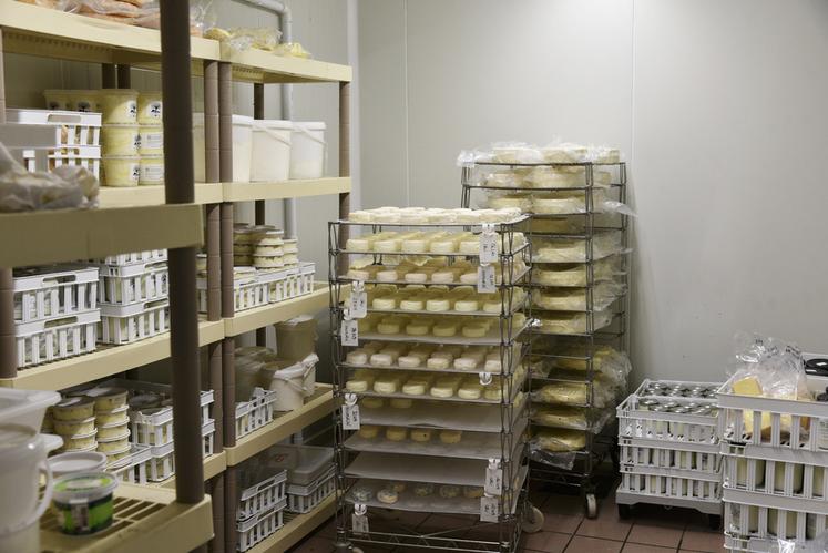 Dans la cave du laboratoire Anne-Aël Leroy présente une partie de sa gamme : fromages frais, tommes et lactiques affinés, tous issus du lait de son troupeau transformé sur place.